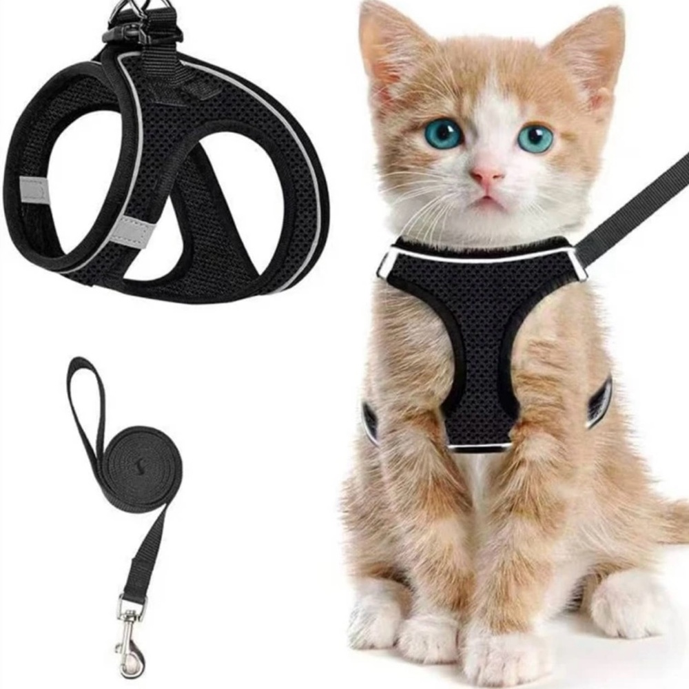 Cat leash and harness